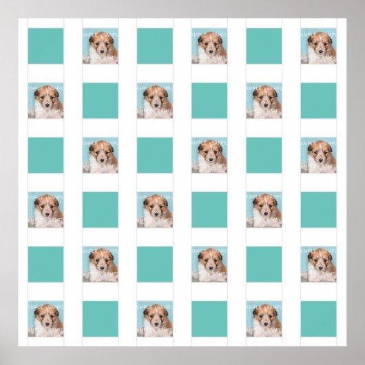 Haustier-Foto-Collage 18 DIY-Keepake-Mauer Poster (Vorne)