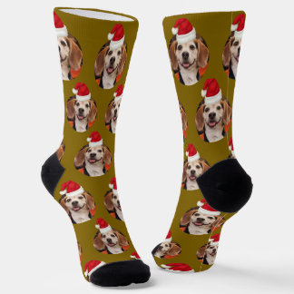 Haustier Foto Gelb Braun Niedliche Weihnachtsmannm Socken