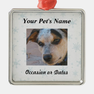 Haustier-Foto mit Winter-Schnee-Hintergrund Ornament Aus Metall