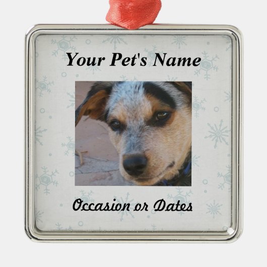 Haustier-Foto mit Winter-Schnee-Hintergrund Ornament Aus Metall (Vorne)