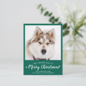 Haustier Foto Personalisiert Hund Lover Frohe Weih Postkarte (Stehend Vorderseite)