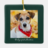 Haustier Foto Vorweihnachtsname Keramikornament (Vorderseite)