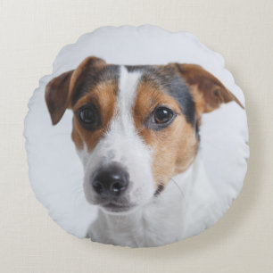 Haustier-Fotohund addieren Ihre eigene Rundes Kissen