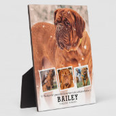 Haustier-Gedenkgeschenk - Katze verlieren 4 FotoCo Fotoplatte (Seite)