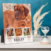 Haustier-Gedenkgeschenk - Katze verlieren 4 FotoCo Fotoplatte (Seite)