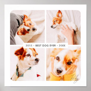 Haustier-Gedenkstätte Bester Hund Aller Zeiten Mod Poster