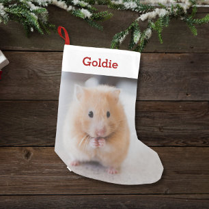 Haustier-Hamster-Liebhaber-Foto u. Name Kleiner Weihnachtsstrumpf