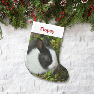 Haustier-Häschen-Liebhaber-Kaninchen-Foto und Nam Kleiner Weihnachtsstrumpf