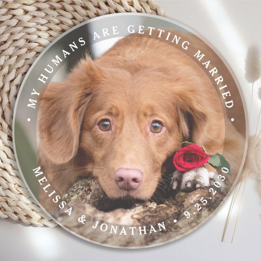 Haustier Hochzeit Personalisierter Hund Foto Verlo Getränkeuntersetzer
