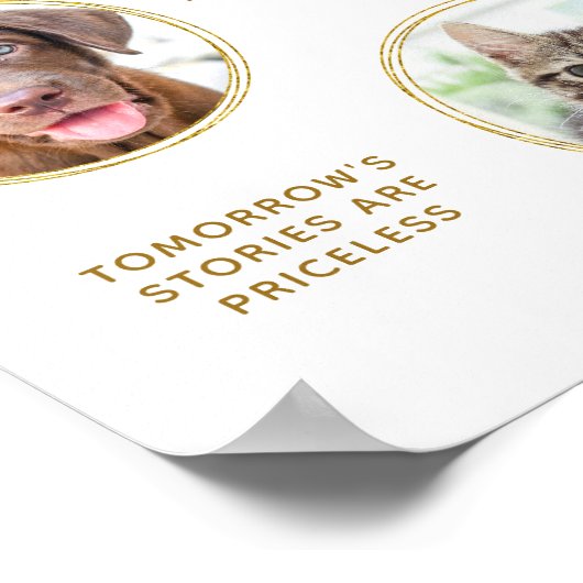 Haustier Hochzeitshund Offenes Bar Elegantes Gold Poster (Ecke)