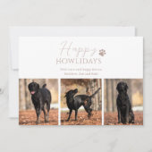 Haustier Hund 3 Foto Weihnachten (Vorderseite)