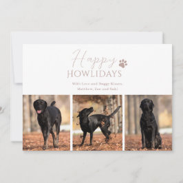 Haustier Hund 3 Foto Weihnachten