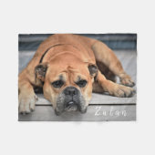 Haustier Hund Chubby Continental Bulldog Fleecedecke (Vorderseite (Horizontal))