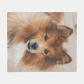 Haustier Hund Corgi Canine Breed Fleece Blanket (Vorderseite (Horizontal))
