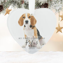 Haustier Hund erste Weihnachtsfotos Script