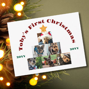 Haustier Hund Erster Weihnachtsbaum, Personalisier Feiertagspostkarte