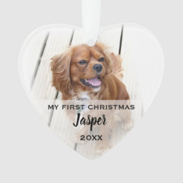 Haustier Hund Erstes Weihnachtsfest Fotos Tree Orn Ornament