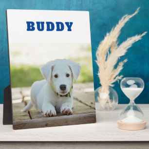 Haustier Hund Foto Niedlicher Individuelle Name Ke Fotoplatte