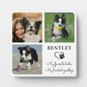 Haustier-Hund-Gedenkstätte Modernes Personalisiert Fotoplatte (Vorderseite)