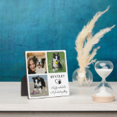 Haustier-Hund-Gedenkstätte Modernes Personalisiert Fotoplatte (InSitu)