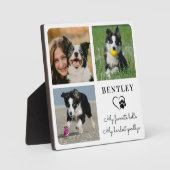 Haustier-Hund-Gedenkstätte Modernes Personalisiert Fotoplatte (Vorderseite)