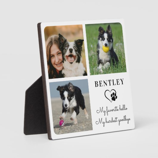 Haustier-Hund-Gedenkstätte Modernes Personalisiert Fotoplatte (Vorderseite)