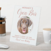 Haustier Hund Hochzeit Open Bar Gold Drinks Sockelschild (In SItu)