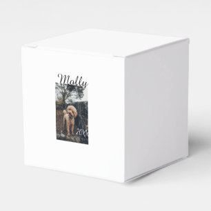 Haustier Hund Katze Tier Geburtstagsfoto modern Ja Geschenkschachtel
