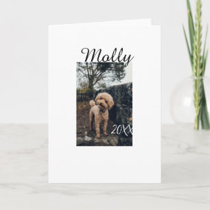 Haustier Hund Katze Tier Geburtstagsfoto modern Ja Karte