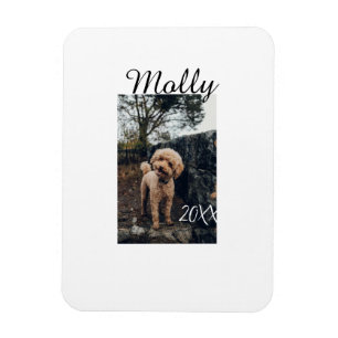 Haustier Hund Katze Tier Geburtstagsfoto modern Ja Magnet