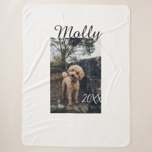 Haustier Hund Katze Tier Geburtstagsfoto modern Ja Sherpadecke