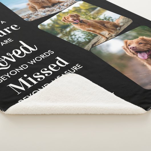 Haustier-Hund-Memorial Pet Loss Keepake Foto Colla Sherpadecke (3/4)