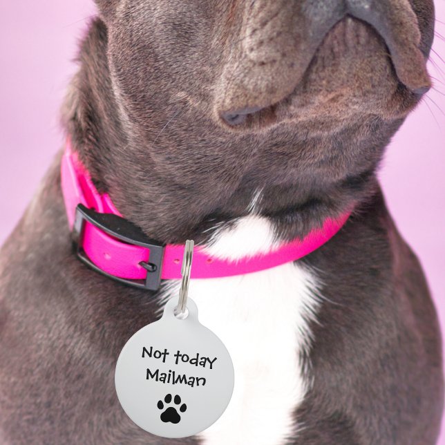 Haustier Hund nicht heute Mailman & Paw Funny Cust Haustiermarke (Von Creator hochgeladen)