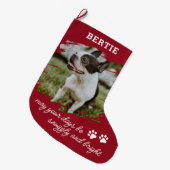 Haustier Hund oder Katze Foto Grosses Weihnachtsfe Großer Weihnachtsstrumpf (Vorderansicht (hängend))