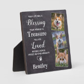 Haustier-Hunde-Memorial Pet Loss Geschenk Personal Fotoplatte (Vorderseite)