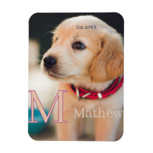 Haustier-Hundefoto est Jahr Name Monogramm Katze E Magnet