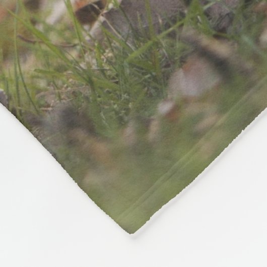 Haustier Hundefurche Schlangenrinde Fleecedecke (Ecke)