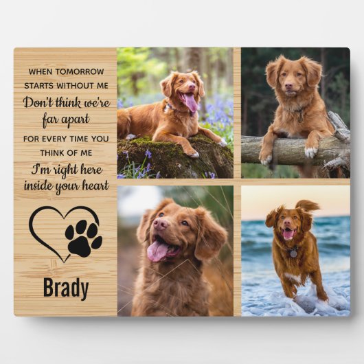 Haustier-Hundeschenk - Beileid-Pet-Loss-Sake Fotoplatte (Vorderseite)