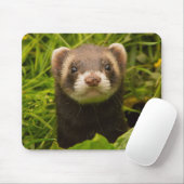 Haustier im Gras Mousepad (Mit Mouse)