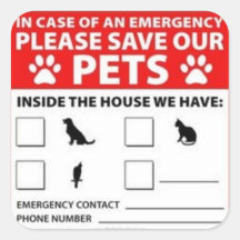 Haustier innerhalb des Alarms