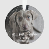 Haustier Katze Foto Meine ersten Weihnachtshandsch Ornament (Vorderseite)