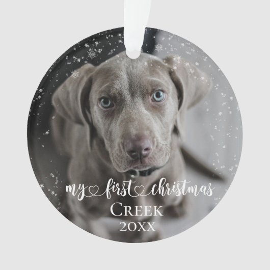 Haustier Katze Foto Meine ersten Weihnachtshandsch Ornament (Vorderseite)