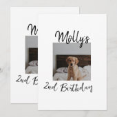 Haustier Katze Geburtstag Foto modern Einladung (Vorne/Hinten)