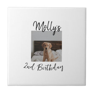 Haustier Katze Geburtstag Foto modern Fliese