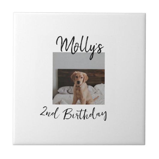 Haustier Katze Geburtstag Foto modern Fliese (Vorderseite)