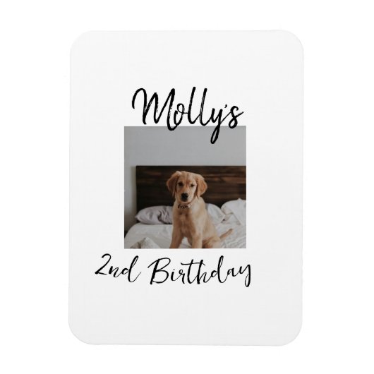 Haustier Katze Geburtstag Foto modern Magnet (Vertikal)