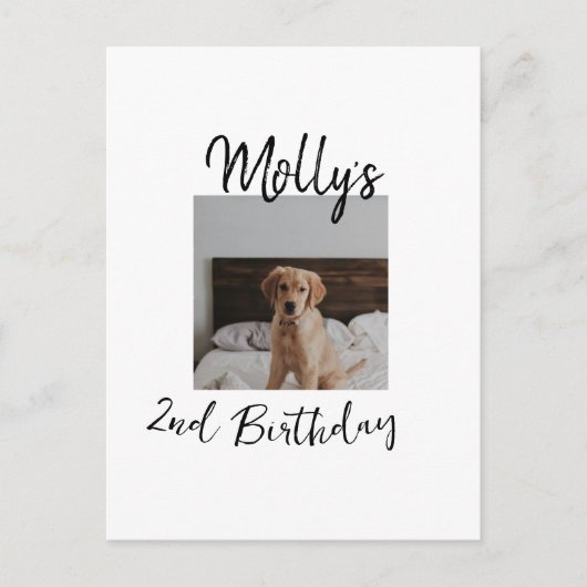 Haustier Katze Geburtstag Foto modern Postkarte (Vorderseite)