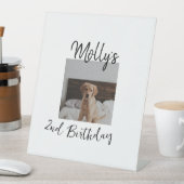 Haustier Katze Geburtstag Foto modern Sockelschild (In Situ)