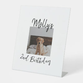 Haustier Katze Geburtstag Foto modern Sockelschild