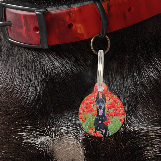 Haustier Katze-ID Lost Foto Personalisierter Text Haustiermarke (Von Creator hochgeladen)